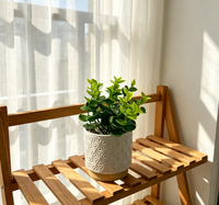 Plantes vertes artificielles en PE en pot, écologiques, résistantes aux UV, persistantes, pour la décoration de mariages, fêtes, bureaux, maisons, et de bureaux à domicile, lot de plusieurs pièces