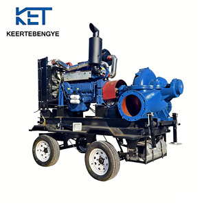 Bomba de Succión Doble Horizontal de Hierro Fundido de Alta Eficiencia y Ahorro Energético para Sistemas de Refrigeración Industrial, Diseño de Doble Voluta, Alta Calidad OEM - Product Image 1