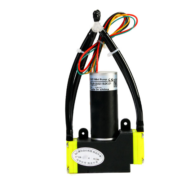 Flow Rate 10L/min 12v 24v Mini Dual Head Oil-free Vacuum air Brushless Diaphragm Pump