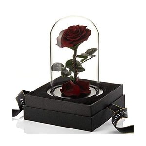 Flores Preservadas de Rosa Bella y Bestia Hechas a Mano, de Larga Duración, en Tubo de Vidrio, <span class=keywords><strong>Precio</strong></span> Económico al por Mayor - Product Image 2