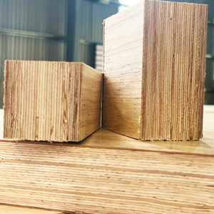 Madera Contrachapada Laminada Industrial de PRIMERA CLASE E0, Madera de Caucho de Vietnam Fenólica Tailileum-400 HPF, Decoración de Doble Cara para - Product Image 2