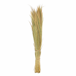 Matériaux bruts de balai en herbe naturelle écologiques et durables pour le nettoyage des sols, fabriqués en Java Central, Indonésie - Product Image 3