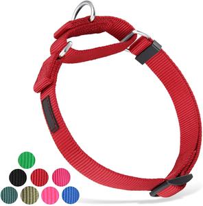 Collar antirrobo de nailon para mascotas, collarín de alta resistencia mejorado para perros, entrenamiento y caminar - Product Image 1