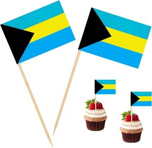 Drapeaux personnalisés promotionnels des Bahamas, assortiment complet <span class=keywords><strong>de</strong></span> drapeaux <span class=keywords><strong>pour</strong></span> la décoration d'événements et souvenirs - Product Image 4