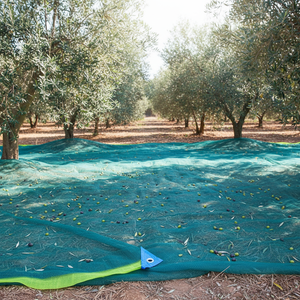 Malla de sombreo resistente de 62 g/m² - HDPE virgen de 6x12 m con ojales de esquina de aluminio - Product Image 1