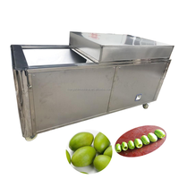 Commerciële Hoge Capaciteit Olijf/Pruim/Dadelkern En Zaadverwijderaar Machine-Automatische Fruitputjes Voor Verwerkingsbedrijven