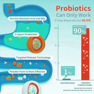Marque privée Soutien digestif et santé intestinale végétalien Supplément prébiotique Poudre probiotique immunitaire organique pour femmes et hommes - Product Image 5
