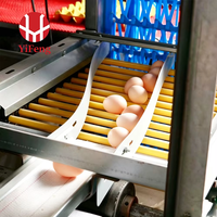 Cage à poulets de type H de haut niveau, équipement avicole automatique, système d'alimentation, système de collecte des œufs, système d'élimination du fumier
