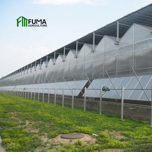 Équipement agricole de système de culture hydroponique vertical automatisé FM utilisé serres en <span class=keywords><strong>verre</strong></span> intelligentes - Product Image 6