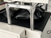 Ensacheuse horizontale multifonction Poshysmart, avec impression et étiquetage instantanés, pour une opération complète d'ensachage et d'étiquetage en une seule étape