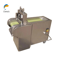 Kokosnoot Vlees Snijmachine Kokosnoot Vlees Shredder Machine Kokosnoot Vlees Snijmachine