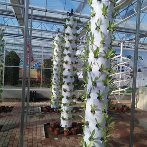 Thương Mại Thiết Bị Nông Nghiệp Phát Triển Kit Dọc Hydroponics Aquaponics Và Khí Canh Hệ Thống Nhà Kính Hoặc Container - Product Image 5