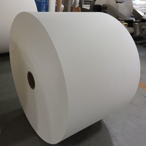 Papier en rouleau de qualité alimentaire 150-350 g/m², enduit de PE, pour gobelets en papier - Product Image 5