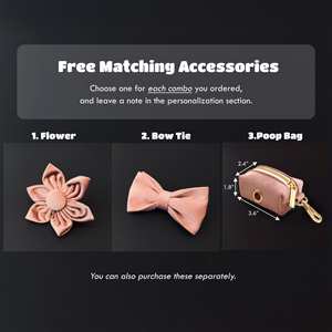 Custom And Leash Set With <b>Bowtie</b> Personalized Engraved Collar Purple Dog Collar - Product Image 2