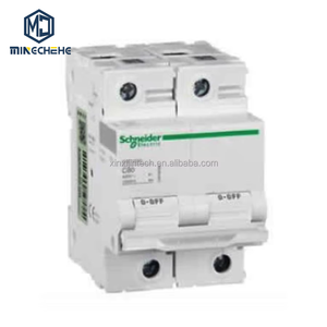 Protector de Sobretensión y Baja Tensión Automático con Autorrecuperación Schnei Der C9 GQ 1P+N 32A 3P+N 80A 3P+N 50A 40A 80A - Product Image 1