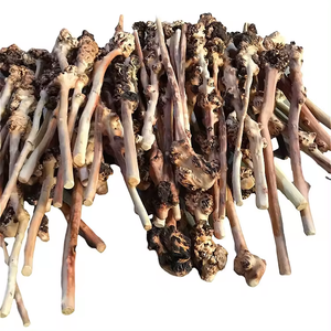 Aquarium Fish Tank Plum Blossom Branch Aménagement paysager Bois flotté Bois mort - Product Image 1