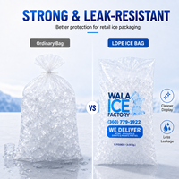 Sacs à glaçons en plastique LDPE transparents avec logo personnalisé, directement de l'usine, pour l'emballage des glaçons