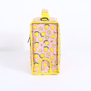 Fashion Home Juice Packs Custom DIY Printing Juice <b>Bag</b> Durable Waterproof <b>Wine</b> <b>Bags</b> Insulated Thermal Cooler <b>Bag</b> Nylon Handbags - Product Image 4