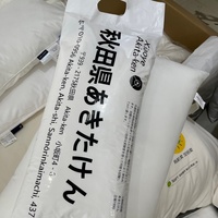 Oreiller en duvet de canard blanc de qualité supérieure, respirant, écologique, avec logo personnalisé, taille king queen, pour l'hôtellerie, les hôtels et l'usage domestique quotidien