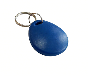 พวงกุญแจ RFID 13.56MHz สำหรับ T5577 Abs125khz พิมพ์โลโก้แบบกำหนดเอง - Product Image 5