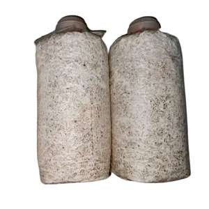 Wholesale Custom High Quality Side Gusset PE Mushroom Grow Bag Recycled <b>Materials</b> High Temperature Resistant for Indoor/Outdoor - Product Image 5