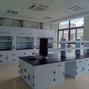 Plan de travail de laboratoire en polypropylène résistant aux produits chimiques, mobilier de laboratoire scolaire - Product Image 3