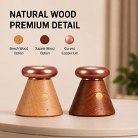 Diffuseur d'huiles essentielles en bois écologique sans eau, vente en gros, température constante 65°C, rechargeable par USB, diffuseur d'arômes portable