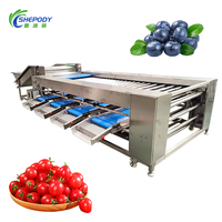 Shepody 500kg/u Automatische Kiwi-Komkommer Sorteermachine Auto Abrikoos Granaatappel Tomaat Pecannoten Roller Sorteermachine