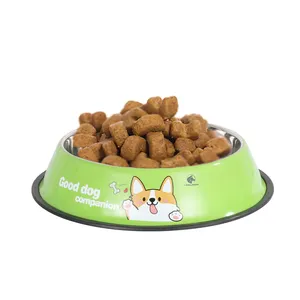 Eco Friendly Multi colore metallo Pet cibo per cani alimentatore con acciaio inox Pet ciotola per bere