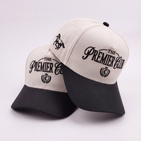 Gorra de Béisbol de Algodón de 5 Paneles con Bordado 3D Personalizado al por Mayor, Gorra Deportiva Estructurada Unisex para Hombre y Mujer, Gorra OEM