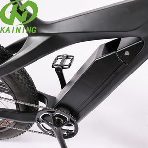 Motor eléctrico para esquí, bicicleta de nieve, tecnología sofisticada, precio barato - Product Image 2