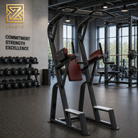 Tour de musculation commerciale ZY robuste avec station de tractions, station de dips et machine à soulever les genoux verticalement pour solutions de projets de salles de sport professionnelles
