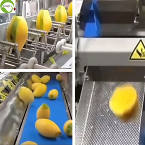 Irisan mangga kering gula jumlah besar manis Premium tas 2kg makanan ringan buah sehat-Ningxia IVY - Product Image 4