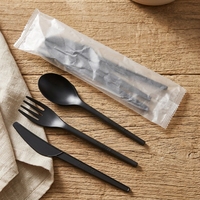 Ensemble de couverts en CPLA certifié compostable DIN/BPI/OK, couteau/fourchette/cuillère + serviette, couleur et logo personnalisés, boîte