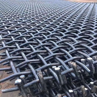 Maille de fil métallique tissé 2YS2460 |   Toile métallique pour carrière à fixation par boulons pour les installations de granulats à grande échelle