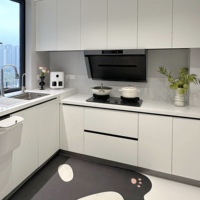 Vente directe d'usine de meubles de cuisine modernes en contreplaqué et d'ensembles d'armoires avec des designs personnalisables à des prix avantageux