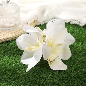 2025 nouvelle grande pince à cheveux hawaïenne tiare blanc artificiel pour les photos <span class=keywords><strong>de</strong></span> plage <span class=keywords><strong>de</strong></span> vacances disponibilité en gros - Product Image 1