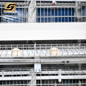 <span class=keywords><strong>Cage</strong></span> à poules pondeuses pour élevage en batterie, équipement d'élevage pour fermes avicoles - Product Image 5