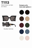 Fabricant de lunettes de soleil de créateur, lunettes carrées en acétate avec logo personnalisé pour événements de mode, lunettes de soleil personnalisées avec logo Viper