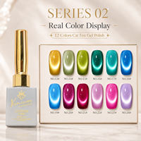 Yunzuan 15ml UV LED Soak Off Cat Eye Gel Polish Dreamy Glitter Magnetic Nail Gel 12 Couleurs OEM ODM