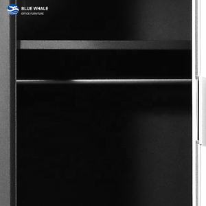 Armario para la escuela, dormitorio individual, 2 puertas, gimnasio, escuela, taquillas de gimnasio, a la venta, caja comercial, armario con llaves, muebles modernos - Product Image 6