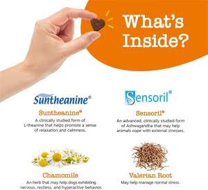 Zesty Paws 120 Capsule Calmanti Softgel con Semi di Canapa per Cani, Trattamento per Ansia da Separazione - Biologico ad Alto Contenuto Proteico - Product Image 4