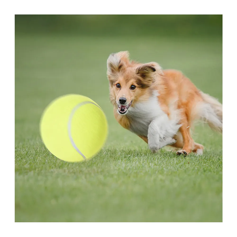 Petstar 9.5" Dog Tennis Ball Large Pet Toys Funny Outdoor Sports Dog Ball with Inflating Needles