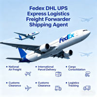 Expédition aérienne économique avec DHL/UPS/FedEx |   Agent logistique chinois pour l'Inde, le Vietnam, le Cambodge, le Canada, la France | Livraison porte à porte