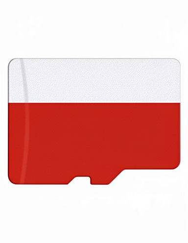 Youlen 64 GB Plastic Micro SDXC Card up to 90 MB/sec with SD Adapter A1 U3 C10 V30 for Phone