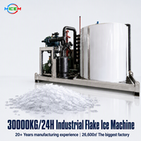 Machine à glaçons sur mesure 30 tonnes, refroidie à l'eau, en acier inoxydable, automatique, pour l'usine de transformation des produits de la mer, refroidissement quotidien du poisson frais