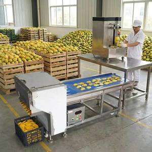 Equipo de Procesamiento de Mango Automático Personalizable con Motor para Tiras, Rodajas y Cubos de Mango, Alta Capacidad, Acero Inoxidable 304 - Product Image 1