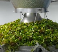 Automatische salade multihead weegschaal microgroenten groenteverpakkingsmachine voor het vullen van clamshell dozen