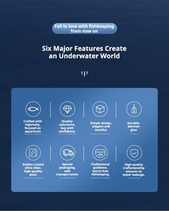 Aquarium rectangulaire en verre ultra-clair épaissi pour aquascape, tortue, plusieurs tailles - Product Image 5