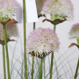 <span class=keywords><strong>Plante</strong></span> artificielle en pot de roseau vert en plastique pour décoration de mariage et intérieur/extérieur - Product Image 3